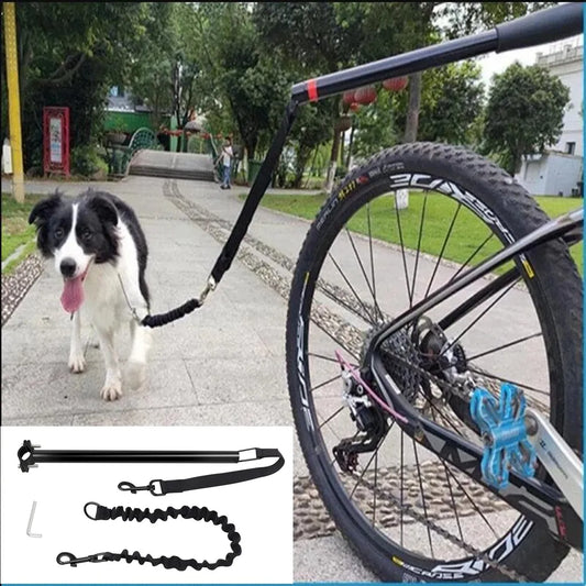 Dog Bicycle Exerciser Leash